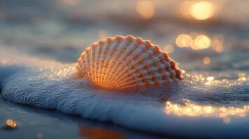 a single seashell resting on the shore of the gulf, waves gently washing over it. As the tide recedes, the shell glistens under the golden sunlight, photo