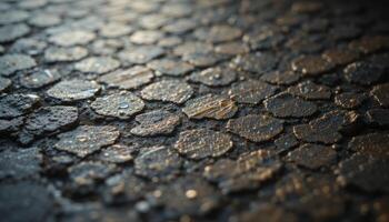 Wet Cobblestone Pavement in Sunlight photo