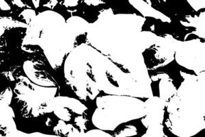 Rustic grunge texture with grain and stains. Abstract noise background. vector