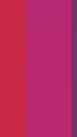 Colorful Abstract the Loop Background video