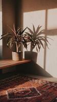 A plant sits on a bench in front of a window photo
