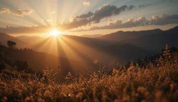 Golden Hour Sunset Over Mountain Range with Grassy Foreground photo