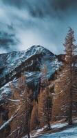 A snowy mountain landscape with trees and snow photo