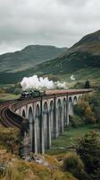 A steam train traveling over a bridge in the countryside photo