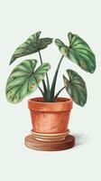 Illustration of a plant in a pot photo