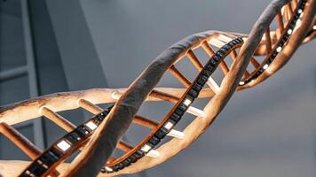 A closeup of intertwining DNA strands integrated with microchips glowing softly emphasizing the harmony between genetic engineering and digital innovation.. photo