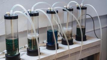 A collection of custommade bioreactors each made from transparent tubing and clear containers bubbling with a variety of cultured microbes in various shades of green and blue.. photo