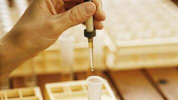 A closeup of a scientists hand holding a pipette carefully inserting a fluorescent dye into a small vial containing a sample of DNA for analysis with lab equipment in the. photo