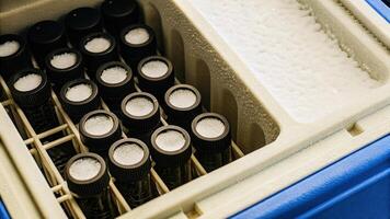 A collection of labeled cryovials in a compact freezer encased in a seethrough design showcasing the temperature gauge and frost patterns indicative of ultracold storage.. photo