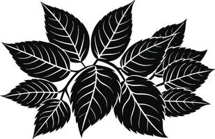 black and green leaves . vector