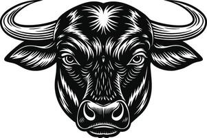 bull head isolated on white . vector