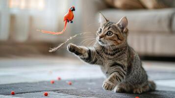 A playful kitten leaps towards a toy parrot, showcasing its curiosity and energy. photo