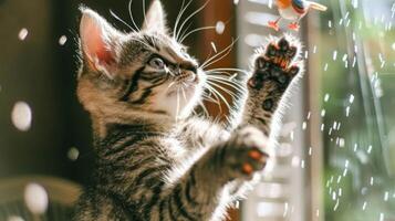 A playful kitten reaching for a toy bird amidst a sunlit, sparkling environment. photo