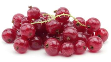 A cluster of fresh red currants on a white background. photo