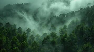 A misty forest landscape with dense trees and ethereal fog creating a serene atmosphere. photo