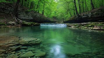 Serene forest landscape with a tranquil stream and lush greenery. photo