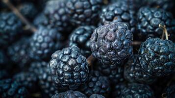 Close-up of fresh blackberries showcasing their texture and color. photo