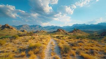 A scenic view of a winding path through a desert landscape with mountains in the background. photo