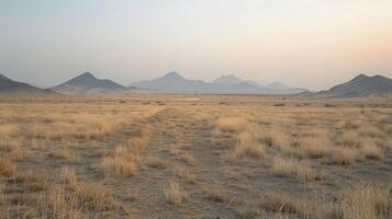 A serene desert landscape with mountains and dry grass under a soft sky. photo