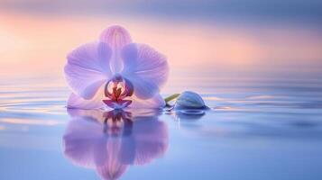 un sereno orquídea flotadores en calma agua, reflejando suave pastel colores en un tranquilo ajuste. foto