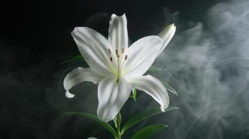 A close-up of a white lily surrounded by soft smoke, highlighting its elegance and beauty. photo