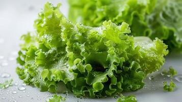 Fresh green lettuce with droplets of water, showcasing its crisp texture and vibrant color. photo