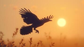 A silhouetted bird in flight against a vibrant sunset backdrop. photo