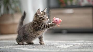 A playful kitten reaching for a pink toy mouse on a cozy rug. photo