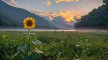 A vibrant sunflower stands in a misty valley at sunrise, surrounded by mountains and nature. photo