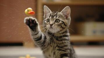 A playful kitten reaching for a small rubber duck toy in a cozy indoor setting. photo