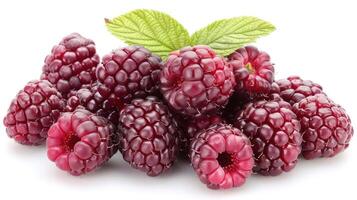 A cluster of fresh raspberries with a green leaf, showcasing their vibrant color and texture. photo