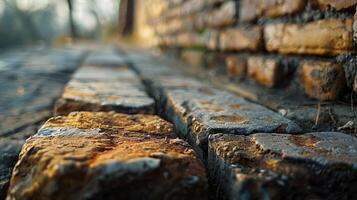 Close-up view of weathered bricks along a pathway, illuminated by soft sunlight. photo