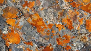 A close-up of a colorful rock surface showcasing orange and gray patterns. photo