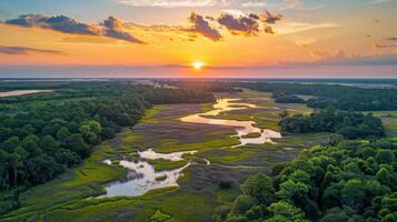 A serene sunset over a lush marshland, showcasing winding waterways and vibrant greenery. photo