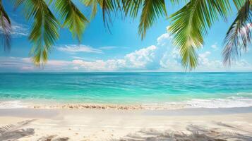 A serene beach scene with palm trees and a clear blue ocean under a bright sky. photo