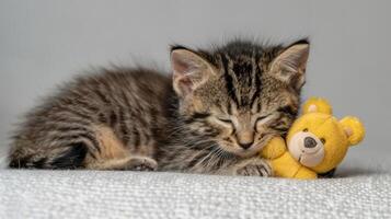 A sleeping kitten cuddles a small yellow teddy bear on a soft surface. photo