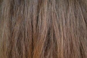 Full frame shot of woman hair textured and background. Hair is the mass of thin thread-like structures on the head of a person, or any of these structures that grow out of the skin. photo