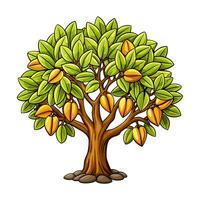 Cocoa tree with fruits and leaves illustration vector