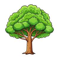 Cartoon tree with leaves on white background vector