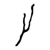 A black and white drawing of a branch vector