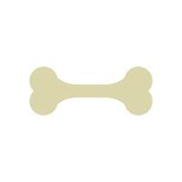 A bone bone on background vector