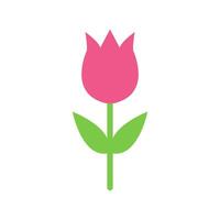 A pink tulip on a white background vector