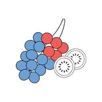 Fresh Fruit Illustration Blue and Red Grapes with Kiwi Slices. vector