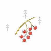 Winter Berries Branch Red Holly Berries, Pine Trees. vector