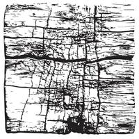 Warped and Worn-Out Paper Texture vector
