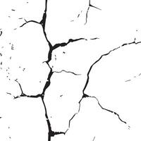 Subtle Noise Grunge Texture vector