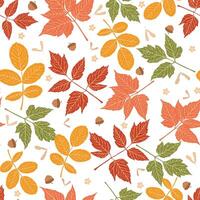 Seamless autumn leaves and seed. Fall print vector