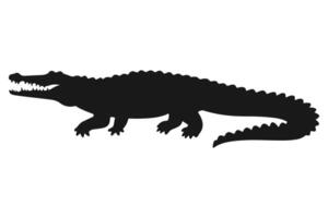 A dynamic silhouette showcasing a crocodile in an attack stance, highlighting its raw strength. vector