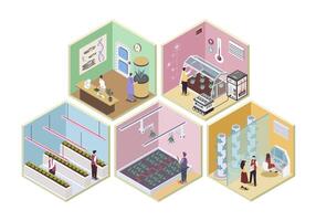 Modern agricultural 3d isometric rooms concept in isometry graphic design for web. People working in smart greenhouse and vertical growth farm, researching plants in laboratory. illustration. vector