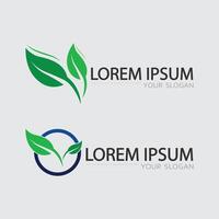 leaf logo design for nature symbol template nature element icon. vector